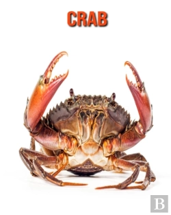 Bertrand.pt - Crab