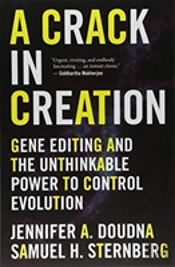Crack In Creation