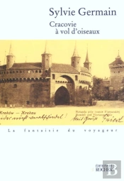Cracovie À Vol D'Oiseaux