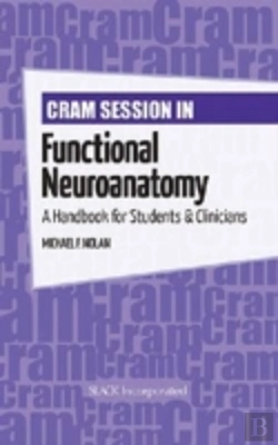 Bertrand.pt - Cram Session In Functional Neuroanatomy