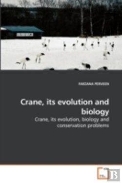 Bertrand.pt - Crane, Its Evolution And Biology