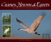 Cranes, Herons & Egrets