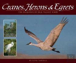 Bertrand.pt - Cranes, Herons & Egrets