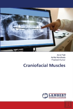 Bertrand.pt - Craniofacial Muscles
