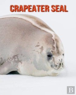 Bertrand.pt - Crapeater Seal