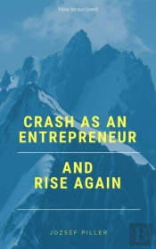 Crash As An Entrepreneur And Rise Again