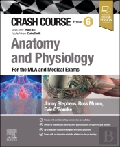 Crash Course Anatomy And Physiology