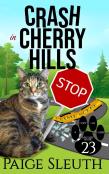 Crash In Cherry Hills