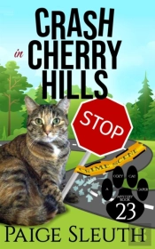 Crash In Cherry Hills