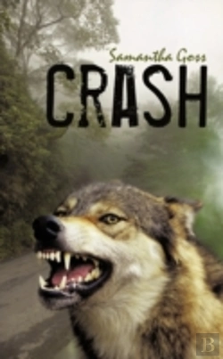 Bertrand.pt - Crash