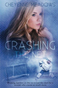 Crashing The Net