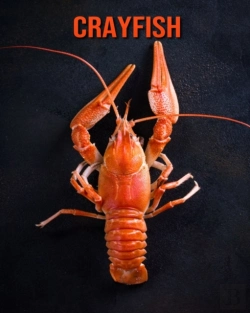 Bertrand.pt - Crayfish
