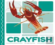 Crayfish