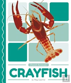 Bertrand.pt - Crayfish