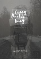 Crazy Broken Thing