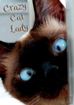 Bertrand.pt - Crazy Cat Lady Notebook