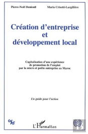 Creation D'Entreprise Et Developement Local ; Capitalisation D'Une Experience De Promotion Et De L'Emploi