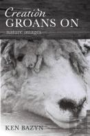 Creation Groans On