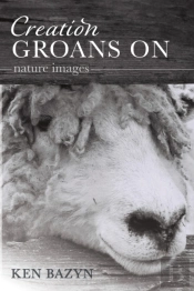 Creation Groans On