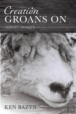 Bertrand.pt - Creation Groans On