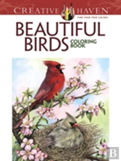 Bertrand.pt - Creative Haven Beautiful Birds Coloring Book