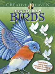 Creative Haven How To Draw Birds