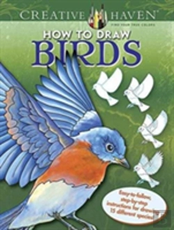 Bertrand.pt - Creative Haven How To Draw Birds