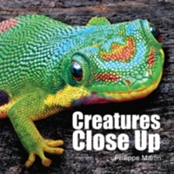 Bertrand.pt - Creatures Close Up