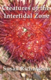 Creatures Of The Intertidal Zone