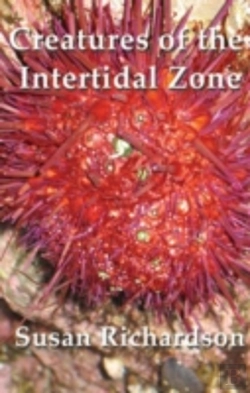 Bertrand.pt - Creatures Of The Intertidal Zone