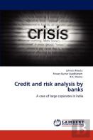 Credit And Risk Analysis By Banks