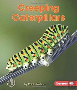 Bertrand.pt - Creeping Caterpillars