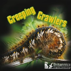 Bertrand.pt - Creeping Crawlers