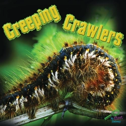 Bertrand.pt - Creeping Crawlers