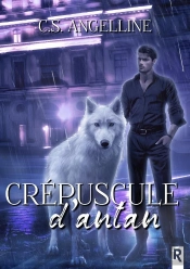 Crépuscule D'Antan