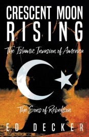 Crescent Moon Rising