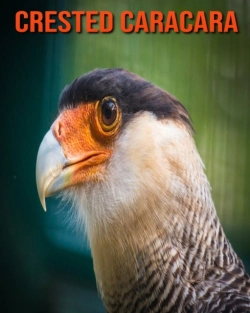 Bertrand.pt - Crested Caracara