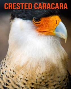 Bertrand.pt - Crested Caracara