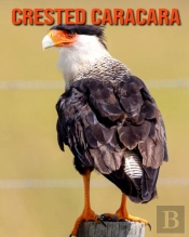 Crested Caracara
