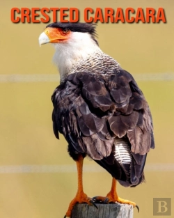 Bertrand.pt - Crested Caracara