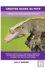 Crested Gecko As Pets