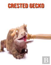 Crested Gecko