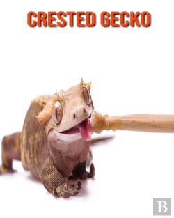Bertrand.pt - Crested Gecko