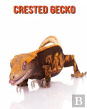 Crested Gecko