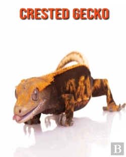 Bertrand.pt - Crested Gecko