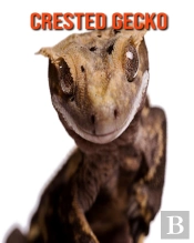 Crested Gecko