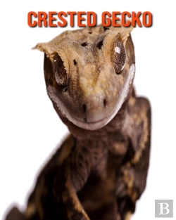 Bertrand.pt - Crested Gecko