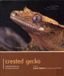 Bertrand.pt - Crested Gecko - Pet Expert