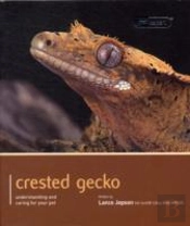 Crested Gecko - Pet Expert