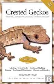 Crested Geckos